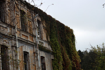 Vintage brick building and trees