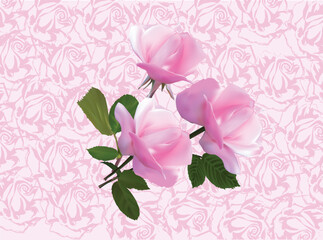 three rose flowers on pink decorated background