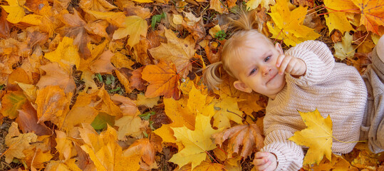 little girl in a beautiful autumn park. Golden autumn.