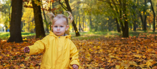 little girl in a beautiful autumn park. Golden autumn.