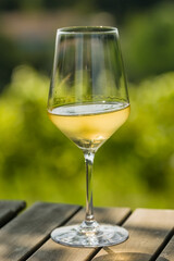 Close-up of a glass of white wine on a wooden table with green vineyards view
