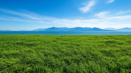 Seaside lawn, nature, seaside