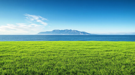 Seaside lawn, nature, seaside