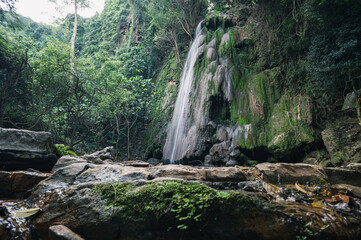 Serene Waterfall Cascading Over Mossy Rocks in Lush Forest Setting