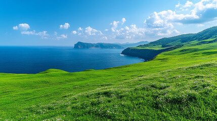 Seaside lawn, nature, seaside