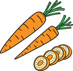 Collection of Carrot vector art illustration
