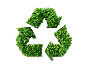 recycling symbol icon on white transparent background, green plant forming a recycling icon, creative design. cutout png