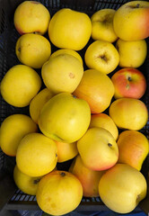 yellow apples on the market