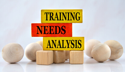 TRAINING NEEDS ANALYSIS - words on a wooden brown block with balls lying next to it on a white background