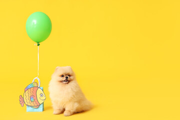 Cute Pomeranian Spitz dog with paper fish and air balloon on yellow background. April Fools day celebration