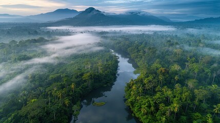 A stunning aerial view of a lush green forest with a winding river, mountains in the background, and mist hovering over the treetops.