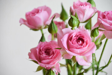 ピンクのスプレーばら