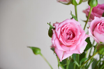 ピンクのスプレーばら