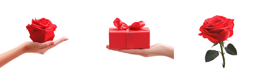 Valentines day on white background