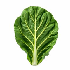Obraz premium Fresh Green Chard Leaf Isolated Vegetable Healthy Food Ingredient