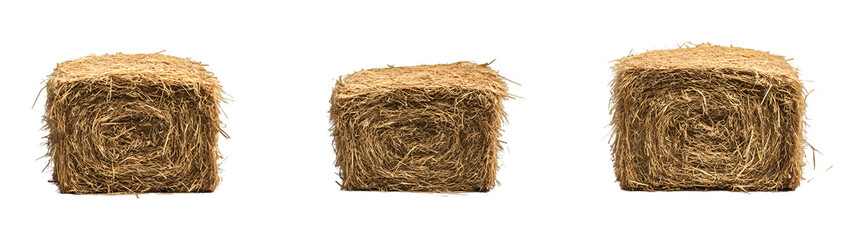 Golden hay bales in countryside