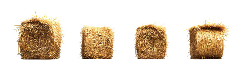 Golden hay bales in countryside