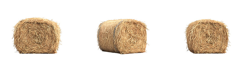 Golden hay bales in countryside