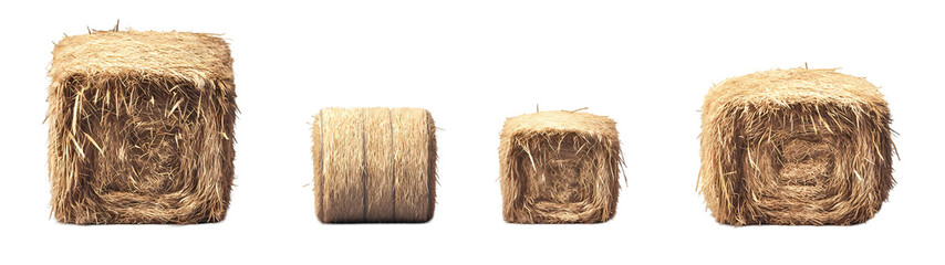 Golden hay bales in countryside