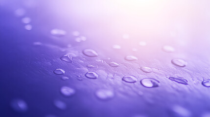 water droplets on a vibrant purple surface