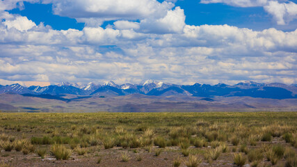 Awe landscape with summer steppe and far mountains range on the horizon under blue sky with fluffy clouds in Altai republic, Russia