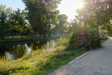 19 August 2024 Berlin (Germany) - August: Footpath in the Tiergarten public park