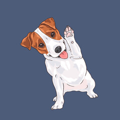 illustration portrait of jack russell terrier, parson terrier doodle