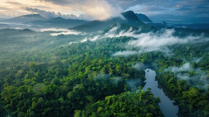 Obraz premium A breathtaking aerial view of dense green forests, misty valleys, and meandering rivers under a dramatic sky, showcasing the beauty of nature.