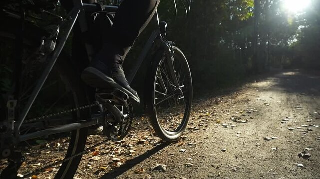 a cyclistriding enjoying a serene forest path illuminated by sunlight