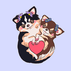 two cute chihuahuas with hairpins and a heart, decorative dogs illustration