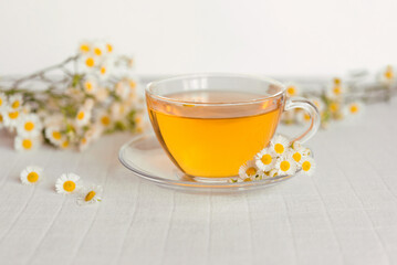 cup of herbal tea with chamomile flowers