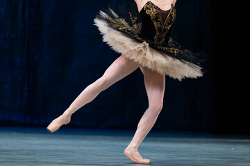 Closeup of ballerinas dancing on stage. © Ruslan