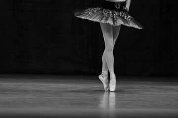 Closeup of ballerinas dancing on stage. © Ruslan