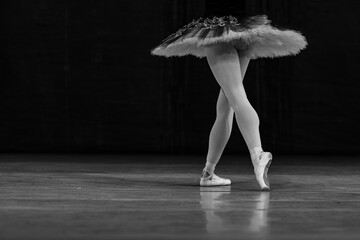 Closeup of ballerinas dancing on stage. © Ruslan