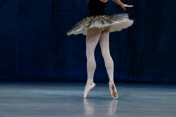 Closeup of ballerinas dancing on stage. © Ruslan