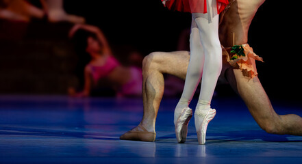 Closeup of ballerinas dancing on stage.