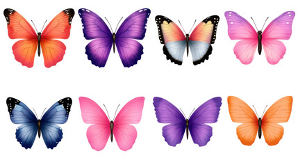 Vivid variety of butterflies exploring the colorful world of winged insects in nature's garden