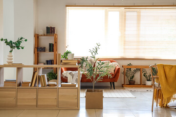 Sideboard with books, decorative olive tree and sofa in interior of living room