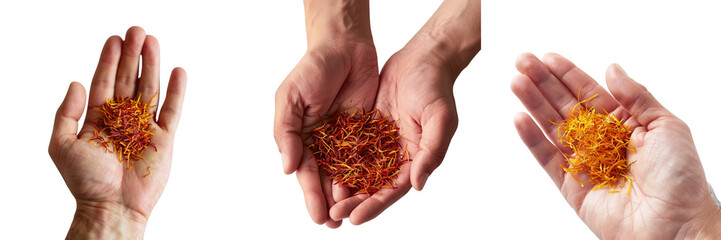 Set of Hand holding a pinch of saffron threads isolated on transparent background