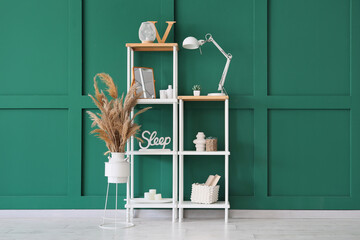 Vase with pampas grass and shelving unit near green wall in room