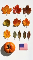 Abstract thanksgiving flat lay with pumpkin maple leaves and flag pin