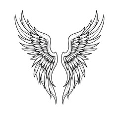Obraz premium Vector outline wings on white background