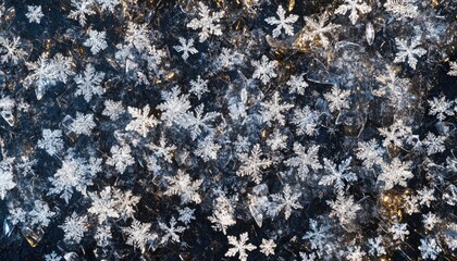 The background picture of snowflakes and ice crystals, realistic style, with a cold feeling