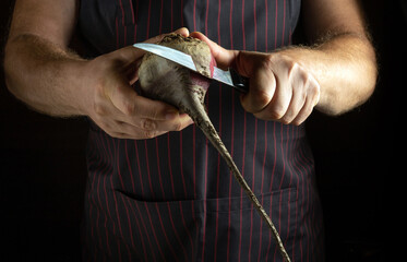 In a dimly lit kitchen, skilled hands carefully peel a beetroot with a sharp knife, showcasing...