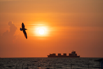 Silhouette of a seagull flying over the sea with cargo ship sailing