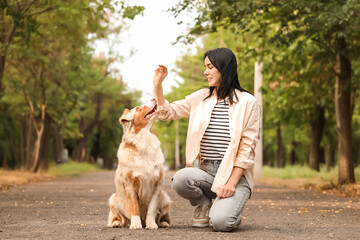 Pretty young woman with treat training her cute Australian Shepherd dog in park