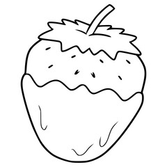 strawberry chocolate illustration hand drawn outline vector