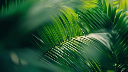 A close up of green tropical leaves.