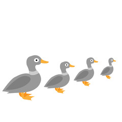 Naklejka premium set of duck