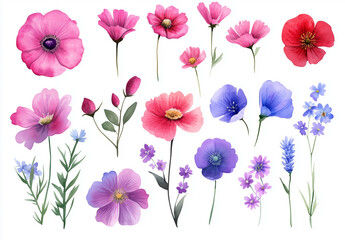 Watercolor Flower, Painting on canvas, Illustration